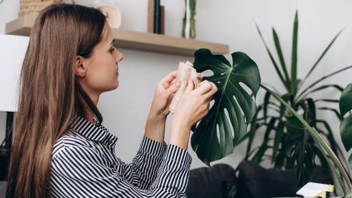 �������� ����� ��������: ��� ��� �� ������� ������, �� ���������� �� ����