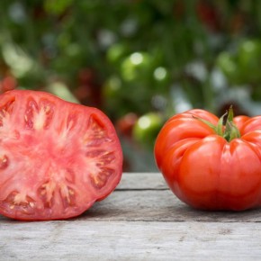 ��� ����� � ���� ����� ����������� �������� ������ ���������