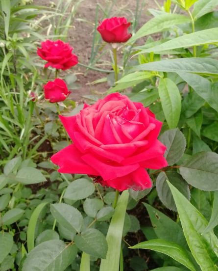 ��� ����� ����� �����������: ��������� �� ����������� � ����