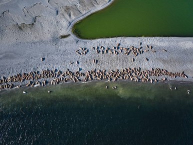 � ��� ���������� �����? ��������� ������� ���������� ������������ ������� �������