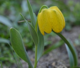 �������: ���������� ������� � ����� ���� � ������ �� ������� � �����