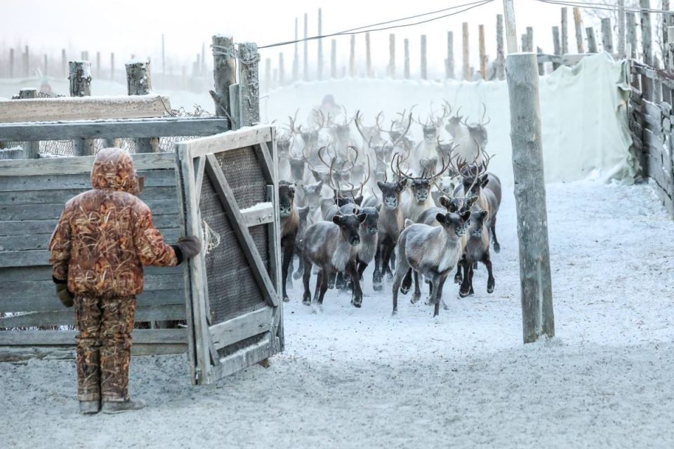 ������� �������� � ��� �������� � ����������