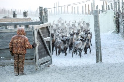 ������� �������� � ��� �������� � ����������