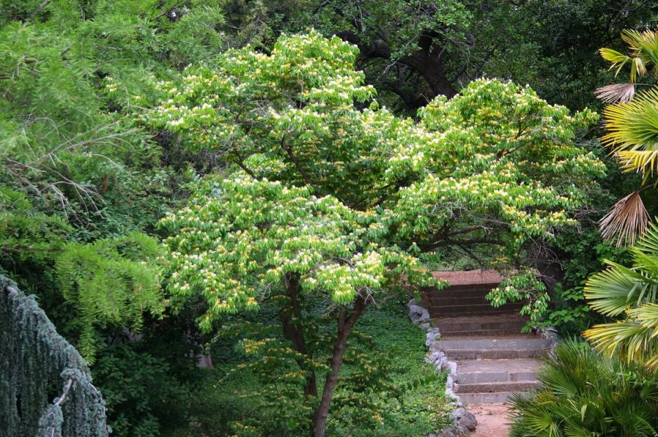 �������, ��������� � ����� ������� �����: ������������ ����� ��� ������ ����