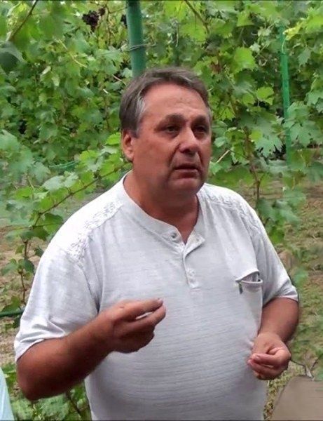 �������� ������: ����� ������ �� �������� ��������������