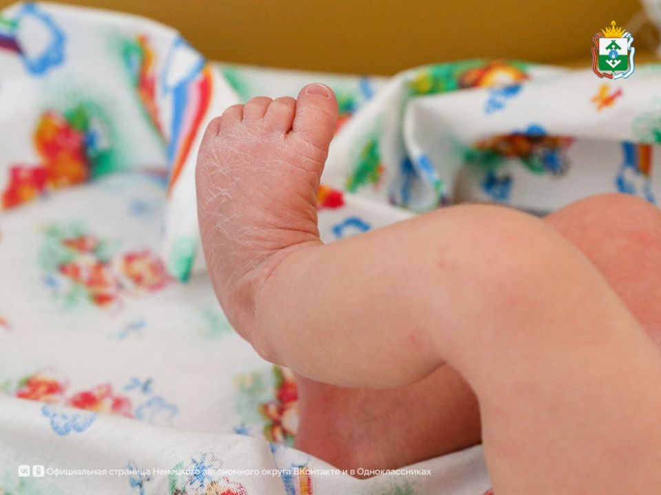 � ��� ������ ������������ 2026 ���� ���� �������