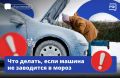 Если ваша машина не заводится в мороз, сначала выясните причину неполадки