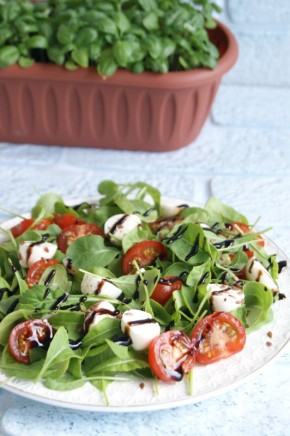 ������ � ������ ����� �� �������, ��������� � �������