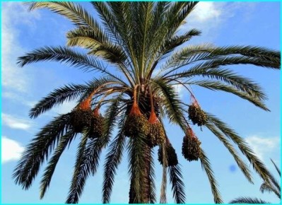 ��� ��������� ��������� ������: ���������� ������� �������� � ��� ���