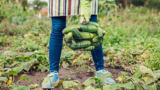 ������� �������� �������� ��������: ������� ����������� ������ �� ��� ���������