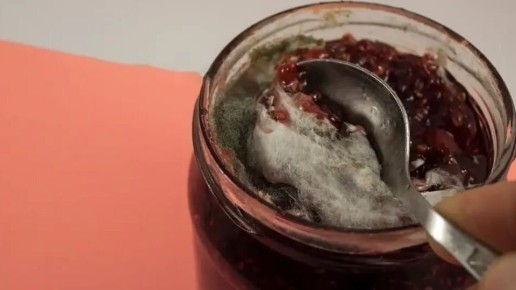 ������� �� �������: ��� �������� ����� � ��� ������ � ����������� ���������