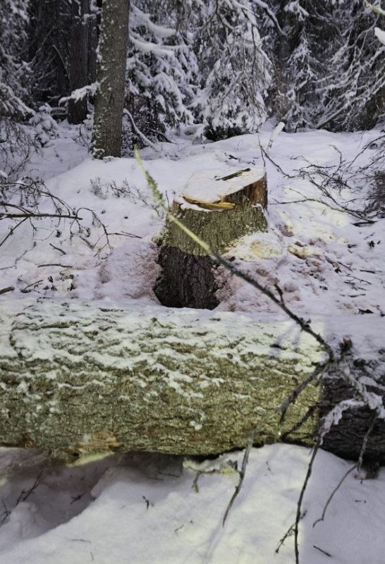 В Северодвинске проводится проверка по факту гибели местного жителя