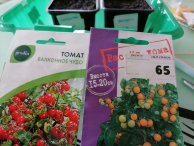 ��� ��������� ��������� ������: ������ ��� �������� ������