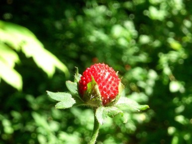 ��� �������� ����� ������ ���� ��������� �� ����������