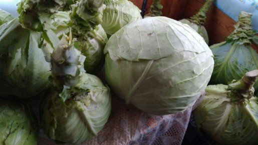 ��������� �����������: ������� ������� � �����