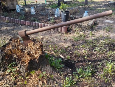 ����������� ������ �������� ����: ��� ������ � �������