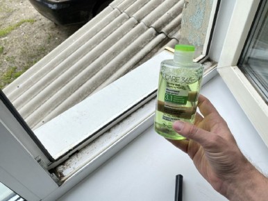 ������������ ��������: ��� ����������� ���� ������ ������� ���� ������������