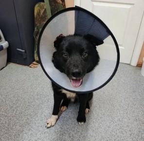 ��� ���� � ���: ���������� ��� �������� � ������ ������������ �����