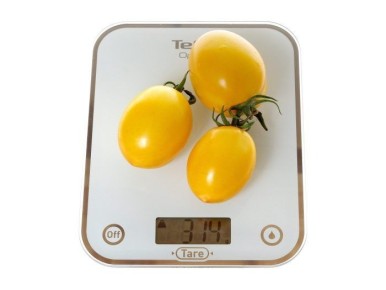 ����� ���������: ������ � ���� ��� ������ �����