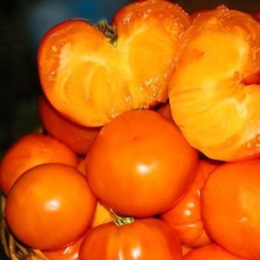 Томат Карамельные сердца: идеальное дополнение для вашего сада и балкона