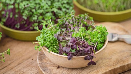 ���� �����������: ��� ��������� ������ ����� �������� ���� ��������