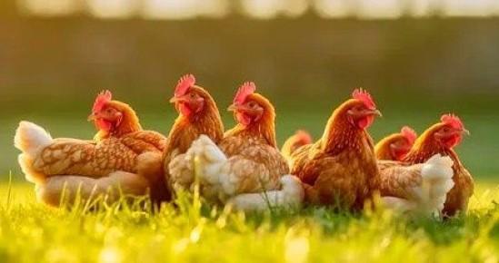 ��� ������� ��� � �� �������� �� ����: ����� � ������