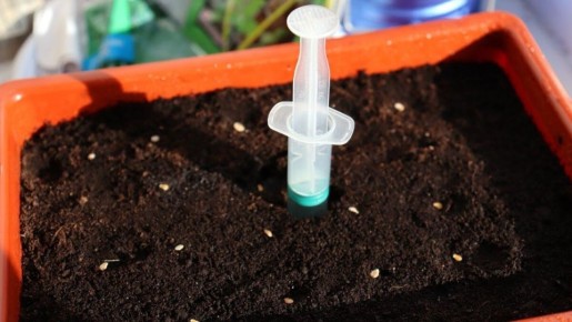 ������ ��� ������ �����: ��� �������� �� � ��������� �������� �������