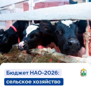 Ирина Гехт: В 2026 году мы предусмотрели на развитие сельского хозяйства и рыболовства в НАО 869,5 млн руб