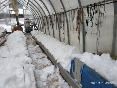 Снег в теплице: как воспользоваться его преимуществами и избежать проблем