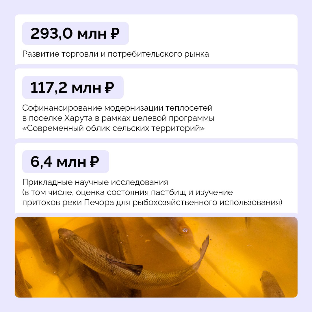 Ирина Гехт: В 2026 году мы предусмотрели на развитие сельского хозяйства и рыболовства в НАО 869,5 млн руб Ирина Гехт: В 2026 году мы предусмотрели на развитие сельского хозяйства и рыболовства в НАО 869,5 млн руб