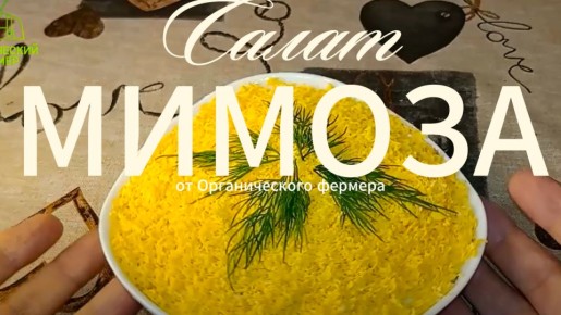 ����� ������ ������: ������ ��������� ������� �� ����� �����