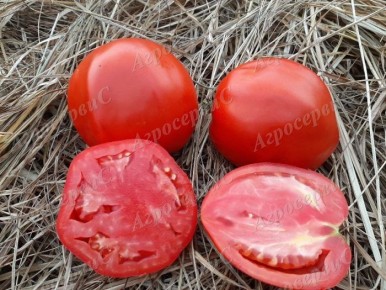 ����� H��o�������: ������������� ���� � ������ ���������� � ������� ������������