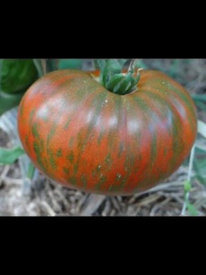 ����� ����� 20: ���������� ������ � ��������������� ���� ��� ������ �������