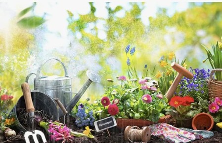 ��� ������������ ������ �� ������� ����� � �������� ������ ��������