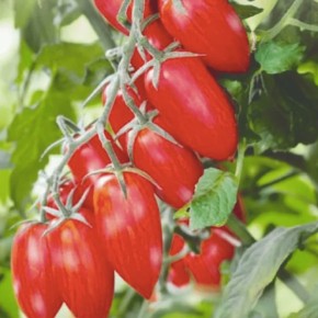 �����, ������� ������ ��� �����: ��� � ������� ������