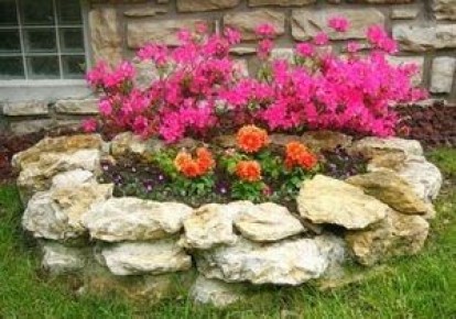 Как выбрать место для розария и подобрать сорта роз на даче