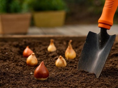 ������� ������� ���������: ��� ��������� �������� � �������� ������� ��������