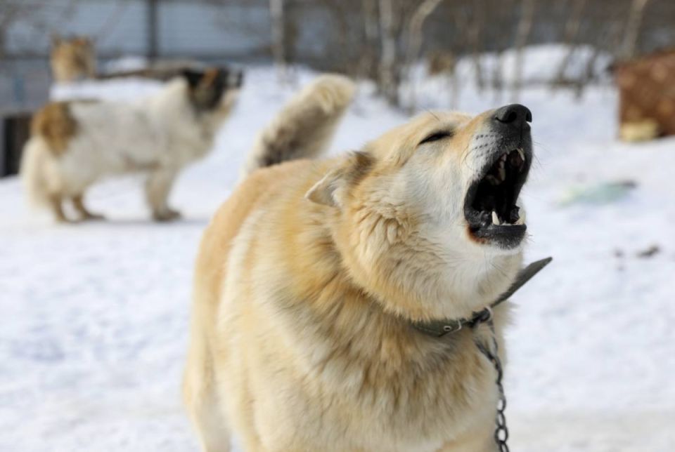 ������� �������� ��������� ��������� ������ � ���, ���� ��� ������� ���� � ������