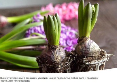 ��� ����������� � �������� �������� ��� ������� � ���������