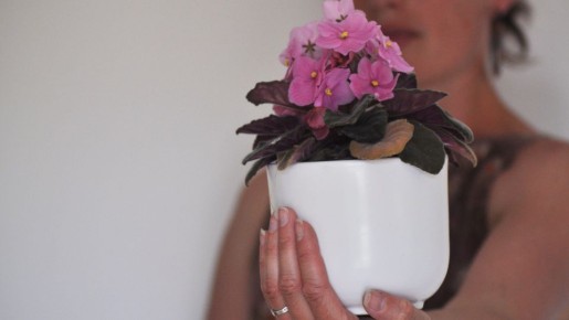 ������ ������ ����������� � ��������: �� ������� ��� �� � ���� ������