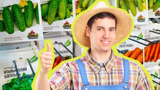 ������ �������������� �������: ������� ������� ������, ��� ��������� �� ����� ��������