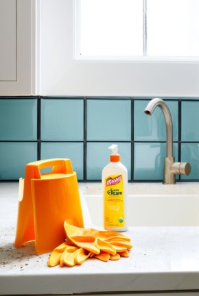 Как выбрать очиститель для сантехники: кислотные и щелочные средства в борьбе с загрязнениями