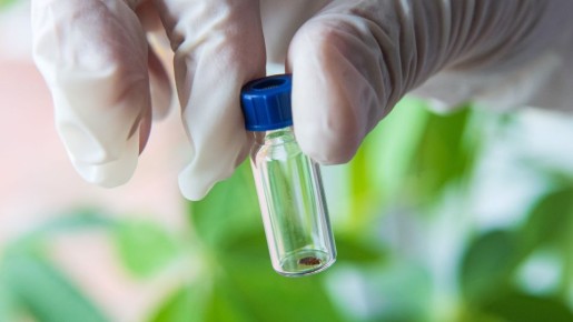 ��������� �������� ������ � ����� ��� ������ �� ������, ���� � ��� ����� ���