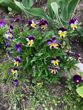 ����������� ������: ������ ����, � ������� ����� ������