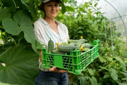 ��� �������� ���������� ������ ��������� �������: �������� ������