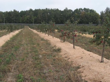 ��� ������ ����� ��������� ����� ���������: ���������������� ������ ���������