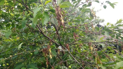 ��� �������� ������� ������ � ������ � ���������� �����������