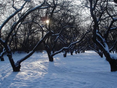 ������ ����� ��� ���������: ��� ����������� ������ � ������