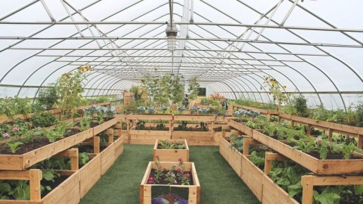 ����� �����: ������ �������� �������� � ��������� �����