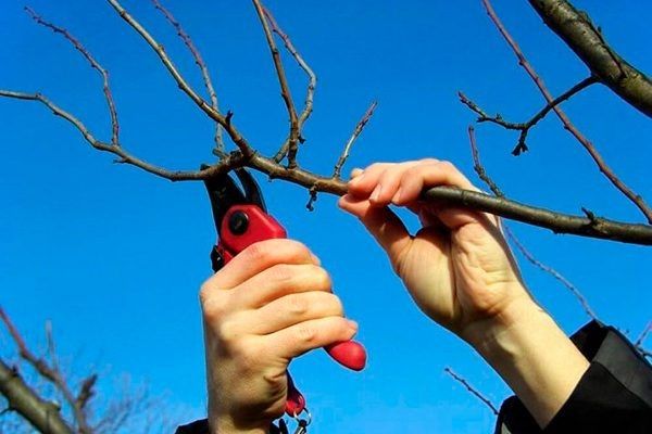 ������ �� ������� �����: ����� � ��� ��� ������ ���������